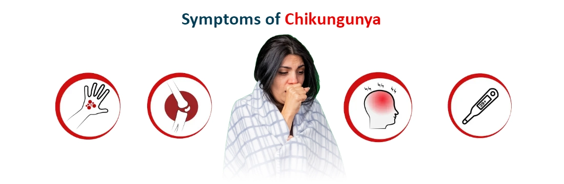 Symptoms of Chikungunya